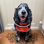 2 Bed In Oc-sz427 펜션 케직