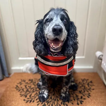 2 Bed In Sz427 度假居